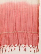 Cotton kurtha palazzo dupatta set #257