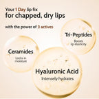 Chemist at Play. Natural Lip Balm SPF 50 Brightens & Repairs Chapped Lips 24HR Moisture | 4.5g