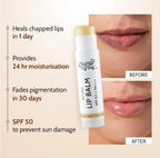 Chemist at Play. Natural Lip Balm SPF 50 Brightens & Repairs Chapped Lips 24HR Moisture | 4.5g